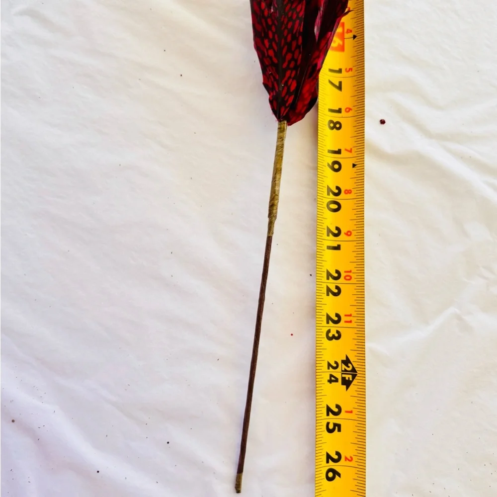 26” Faux Pheasant Feathers Red & Black Faux Floral Accent Feather Pick Stem
